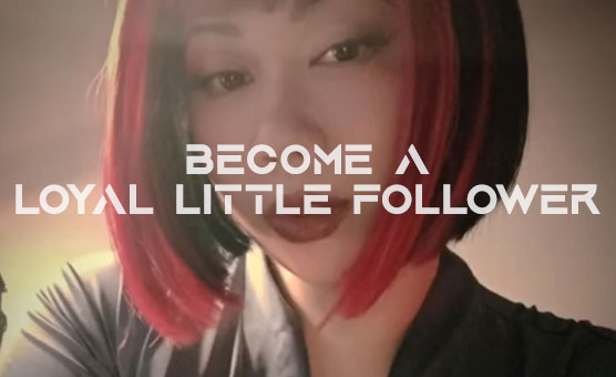 Become a Loyal Little Follower