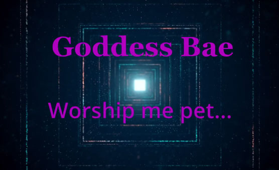 Worship Me Pet