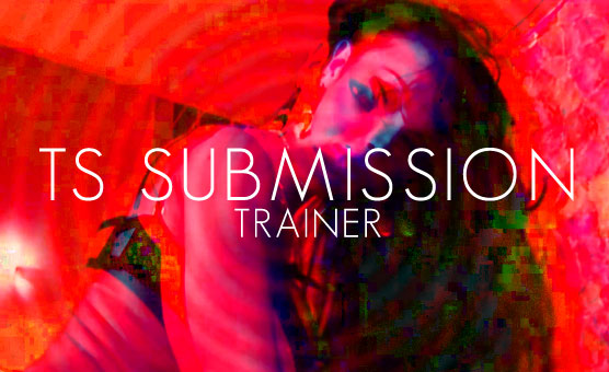 TS Submission Trainer