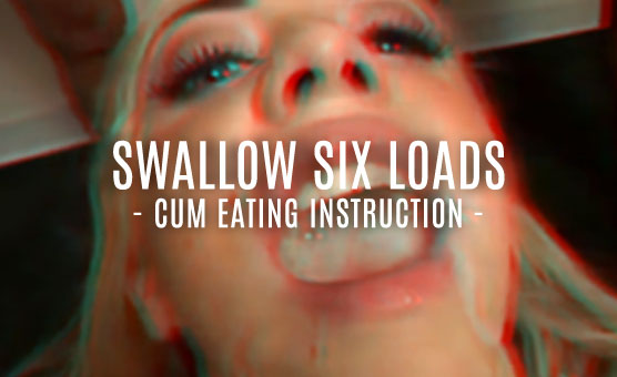 CEI - Swallow Six Loads