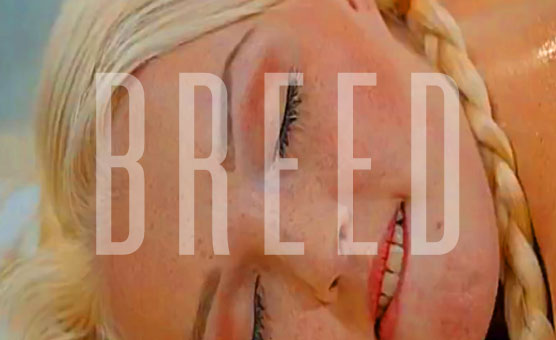 Lilly Lust's Spank Bank Presents - Breed
