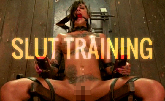 Slut Training