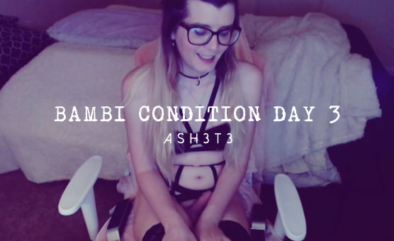 Bambi Condition Day 3 Preview