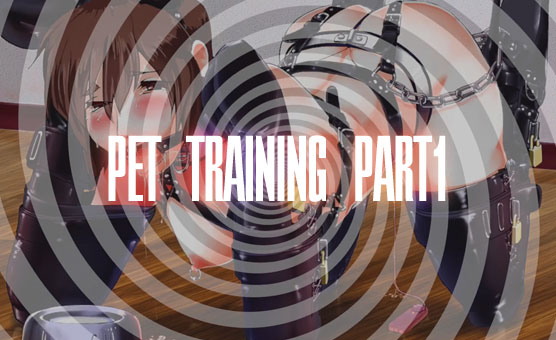 Pet Training - Part 1
