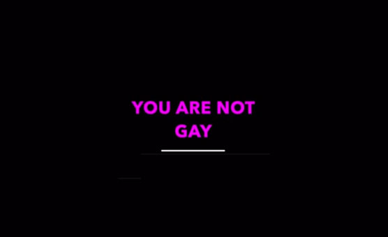 You Are Not Gay