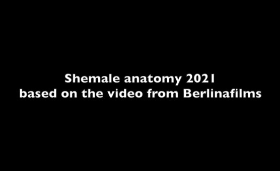 Shemale Anatomy 2021 Hommage Edition
