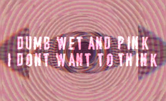 Dumb Wet And Pink I Don't Want To Think