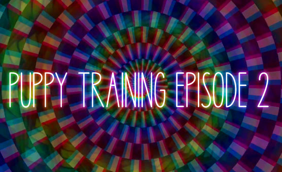 Puppy Training Episode 2 - Furry Petplay Brainwash