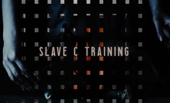 Slave C Training