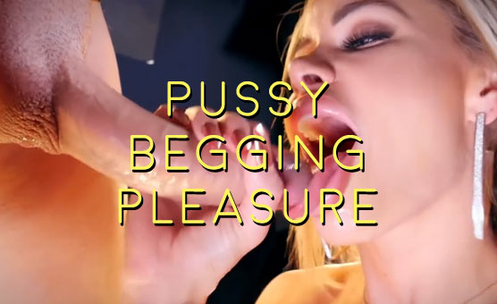 Pussy Begging Pleasure