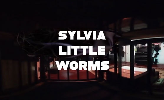 Sylvia Little Worms