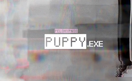 Puppy Dot Exe