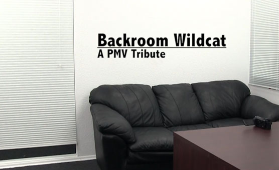 Backroom Wildcat - A PMV Casting Tribute