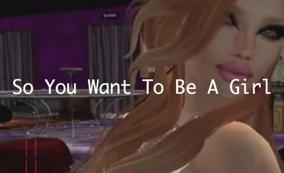 So You Want To Be A Girl