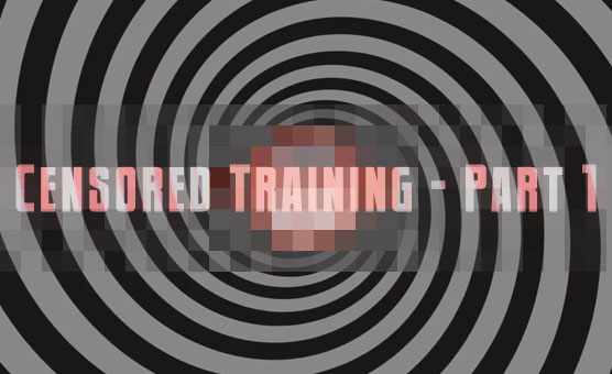 Censored Training - Part 1