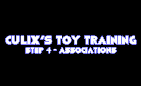 Culix's Toy Training - Step 4 - Associations