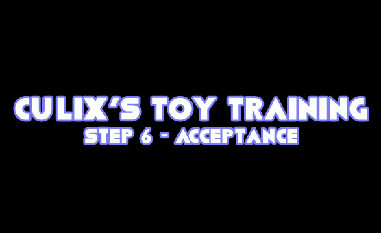 Culix's Toy Training - Step 6 - Acceptance