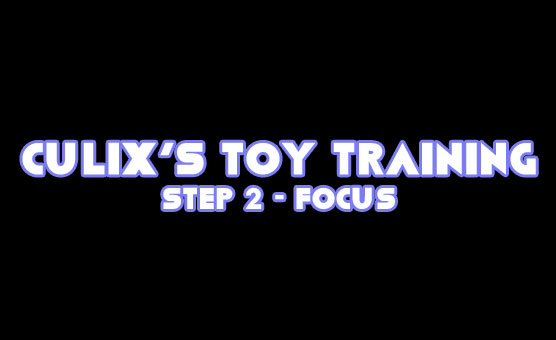 Culix's Toy Training - Step 2 - Focus