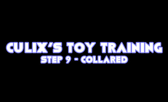 Culix's Toy Training - Step 9 - Collared