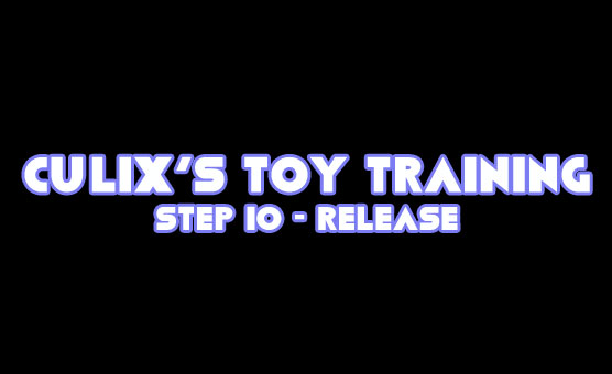 Culix's Toy Training - Step 10 - Release