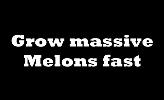 Grow Massive Melons Fast