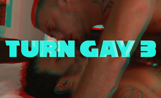 Turn Gay 3