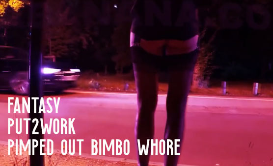 Fantasy - Put2work - Pimped Out Bimbo Whore