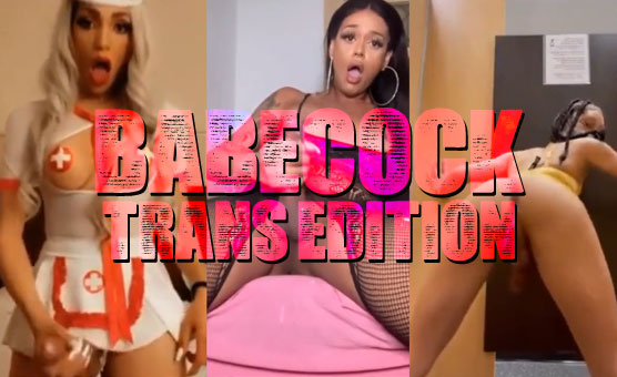 Babecock Trans Edition