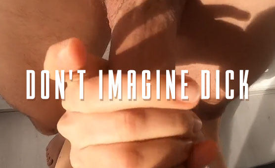 Don't Imagine Dick