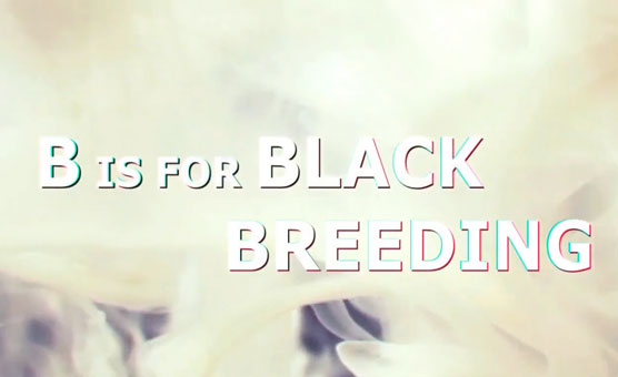 B is for Black Breeding - Poppers Censored Preg