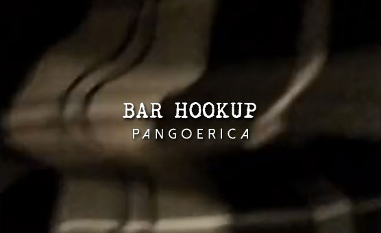 Bar Hookup