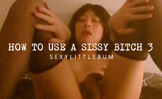 How To Use A Sissy Bitch 3