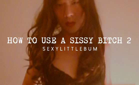 How To Use A Sissy Bitch 2