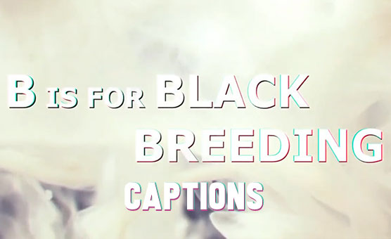 B Is For Black Breeding - Porno Music Compilation - Captions