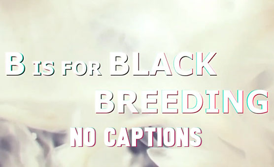 B Is For Black Breeding - Porno Music Compilation - No Captions
