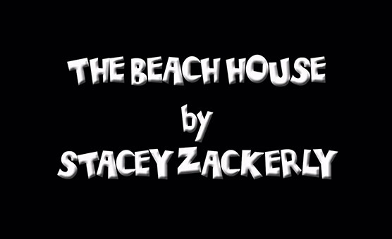 The Beach House By Stacey Zackerly