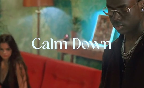 Calm Down - XXX PMV