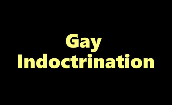 Gay Indoctrination