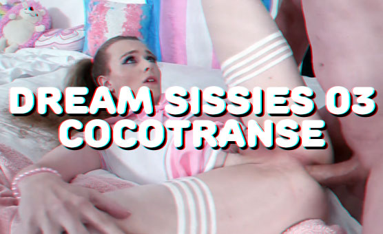 Dream Sissies 03 - PMV - CocoTranse