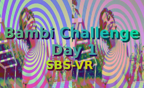 Bambi Challenge Day 1 VR SBS