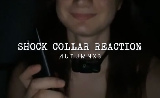 Shock Collar Reaction