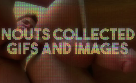 Nouts Collected Gifs And Images