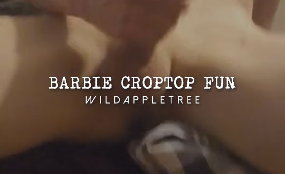 Barbie Croptop Fun