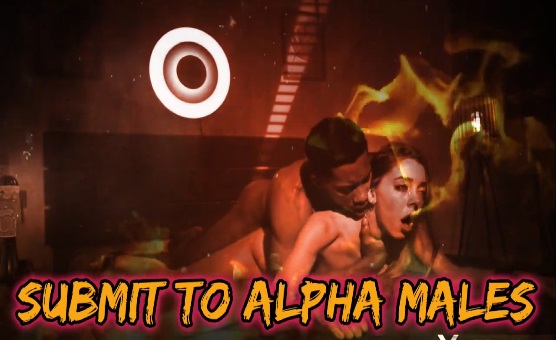 Submit To Alpha Males