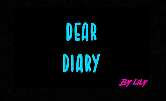 Dear Diary By Lily