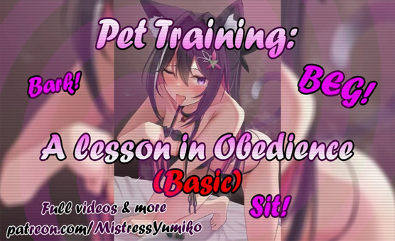 Pet Training - A Lesson In Obedience - Basic