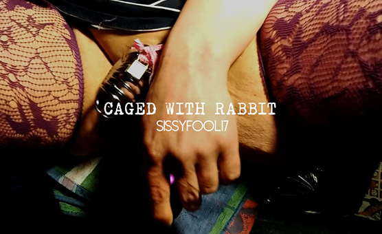Caged With Rabbit