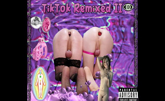 TikTok Remixed II