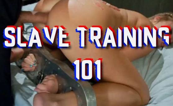 Slave Training 101